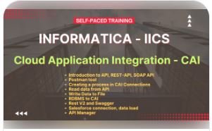 Informatica IICS Online CAI course